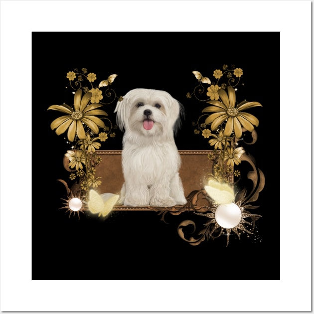 Cute maltese puppy Wall Art by Nicky2342